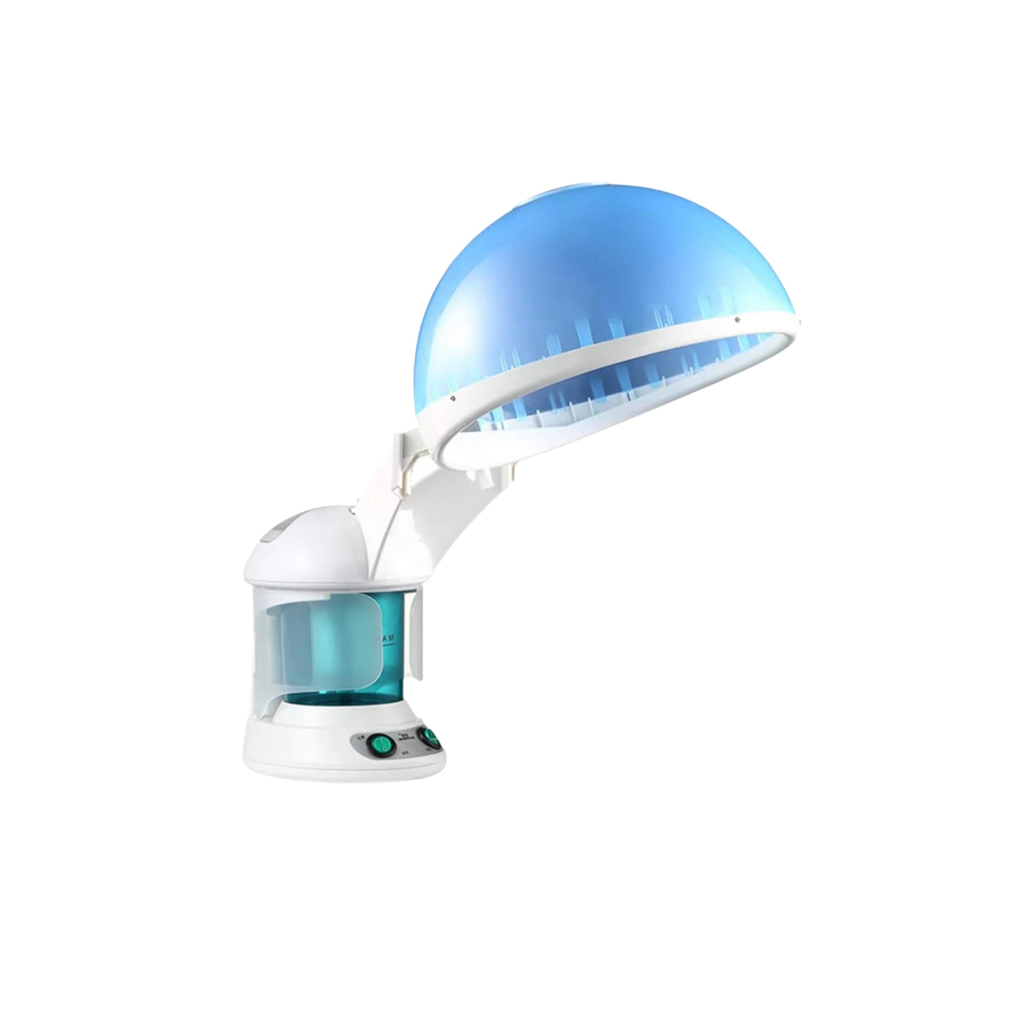 Professional 2-in-1 Ion Hair & Facial Steamer